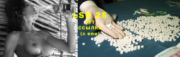 ГАЛЛЮЦИНОГЕННЫЕ ГРИБЫ Абинск