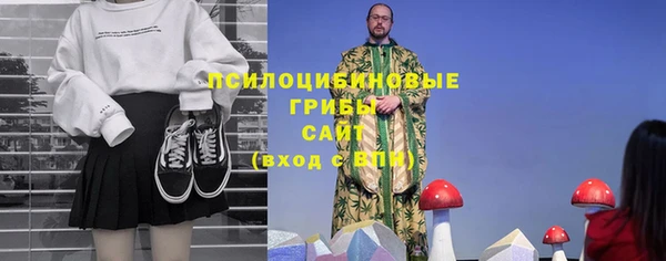 винт Абаза