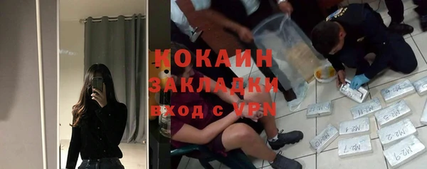 винт Абаза
