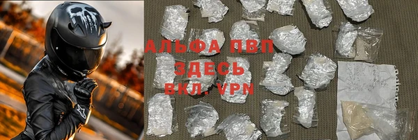 винт Абаза