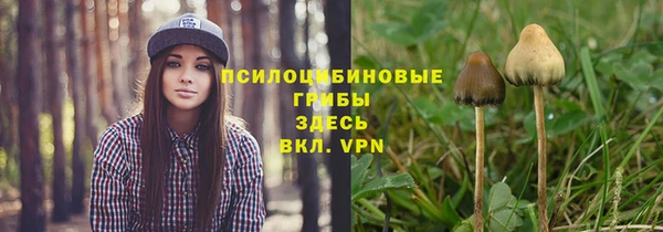 ГАЛЛЮЦИНОГЕННЫЕ ГРИБЫ Абинск