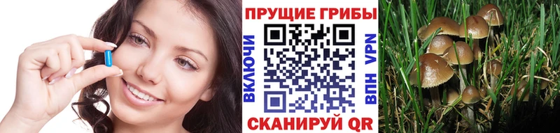 Галлюциногенные грибы GOLDEN TEACHER  наркотики  Емва 